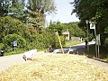 P8280077