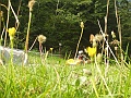 P9090296