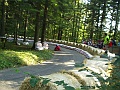 P9090339
