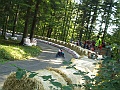P9090340