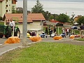 P8260310