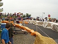 P8260333