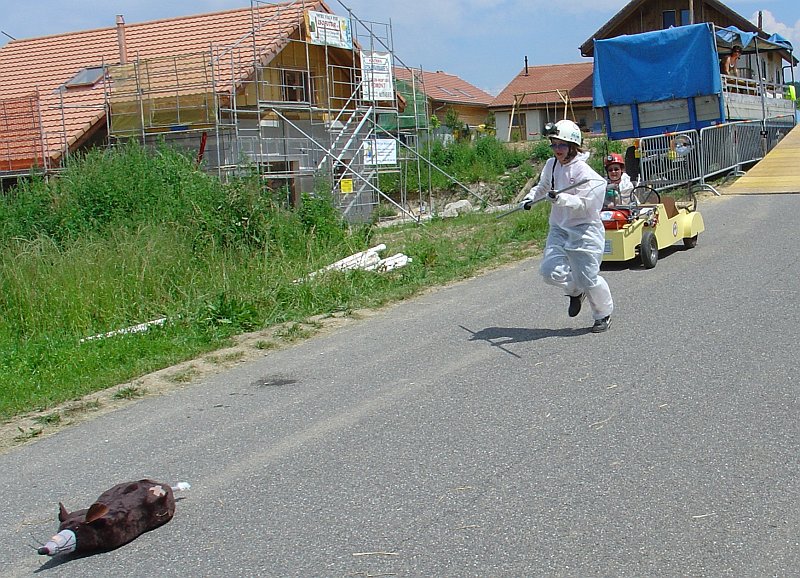 DSC04269.jpg