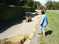 DSC00019