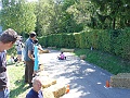 DSC00024
