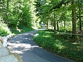 DSC05336