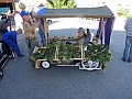 P1070232