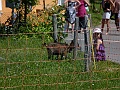 P1070366